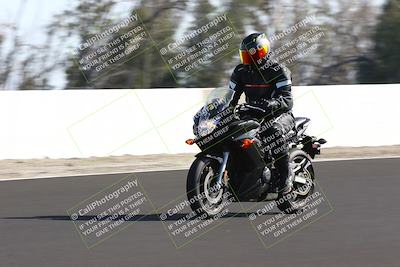 media/Feb-16-2025-TrackDaz (Sun) [[85eae43da9]]/C Group/140pm (Wheelie Dip)/